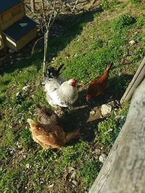 Agroturismo Fattoria Didattica Il Macereto Fivizzano