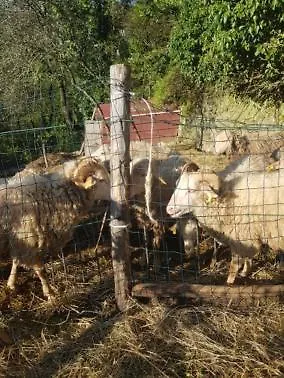 Fattoria Didattica Il Macereto * 피비쟈노