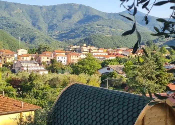 Fattoria Didattica Il Macereto 팜스테이 *