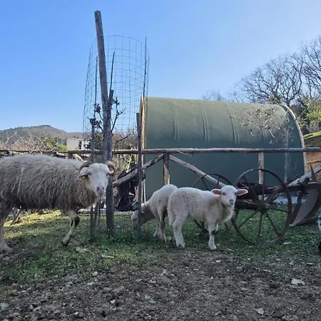 Séjour à la ferme Fattoria Didattica Il Macereto Fivizzano
